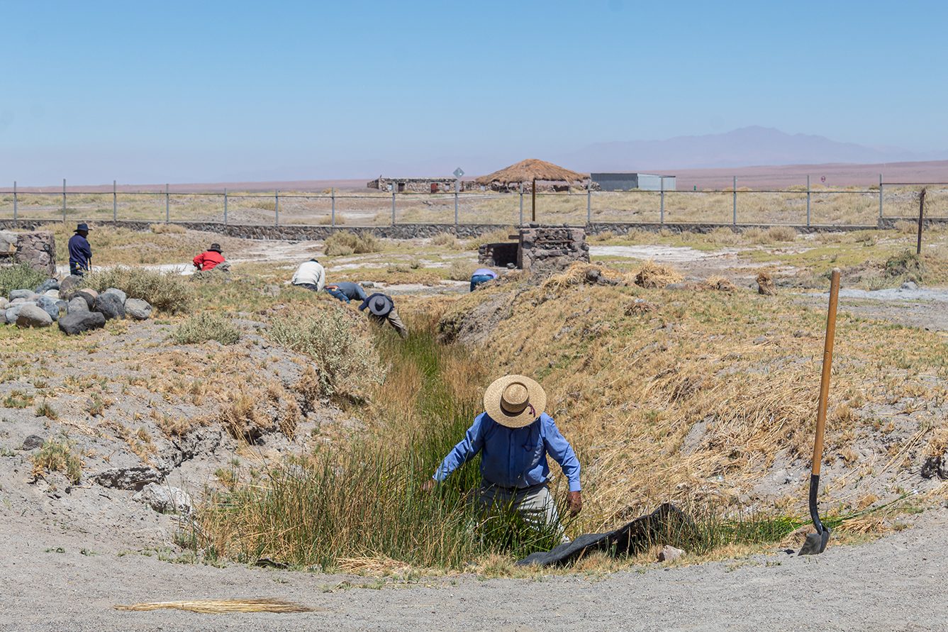 Trabajo comunitario en la vega
